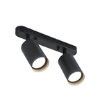 Drejbar Plafondspot med 2 Lyskilder til Indendørs Brug