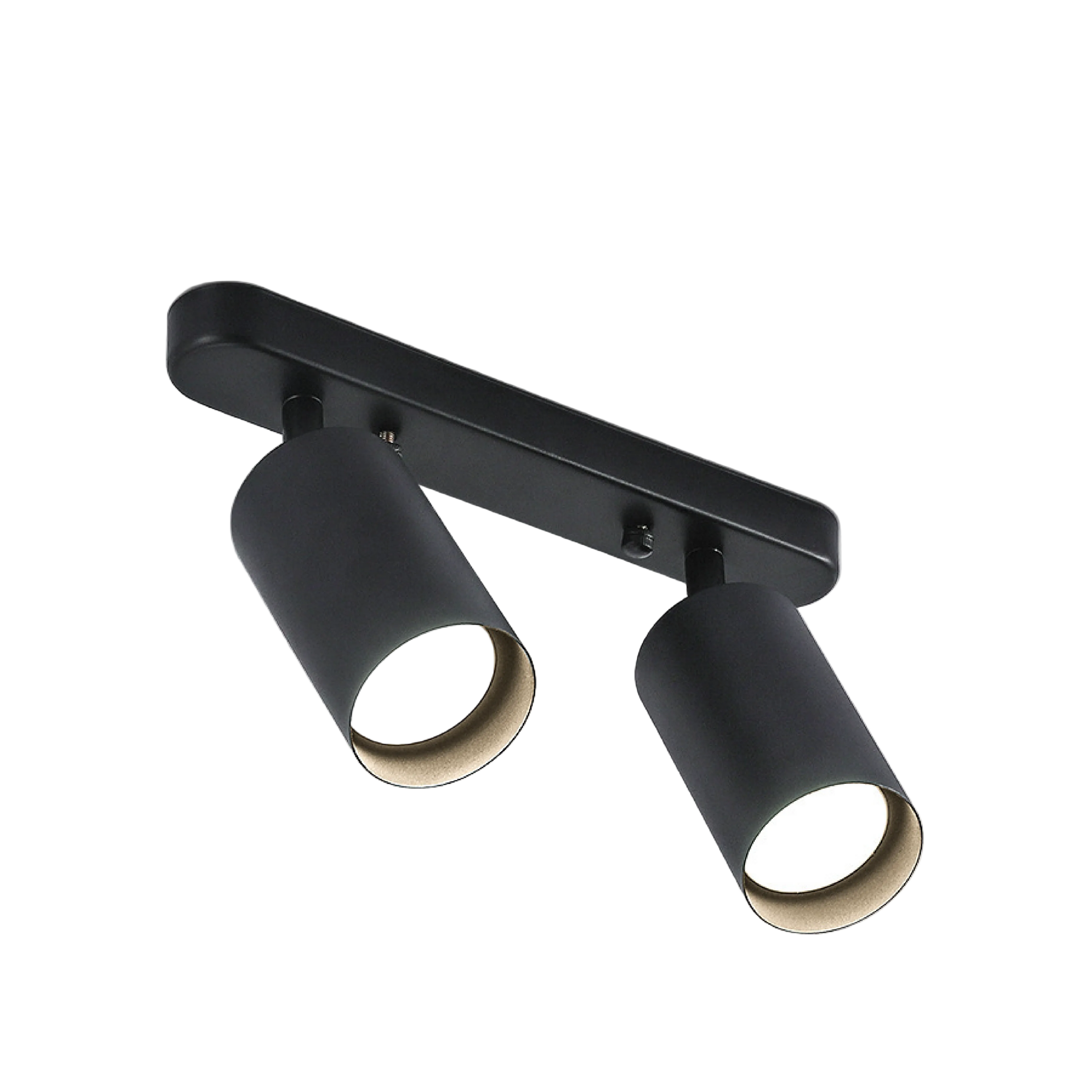 Drejbar Plafondspot med 2 Lyskilder til Indendørs Brug