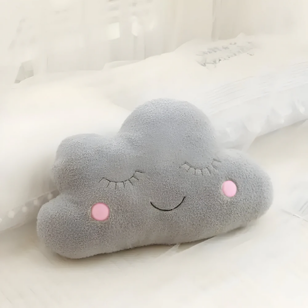 Plush decorative pillow for indoor use