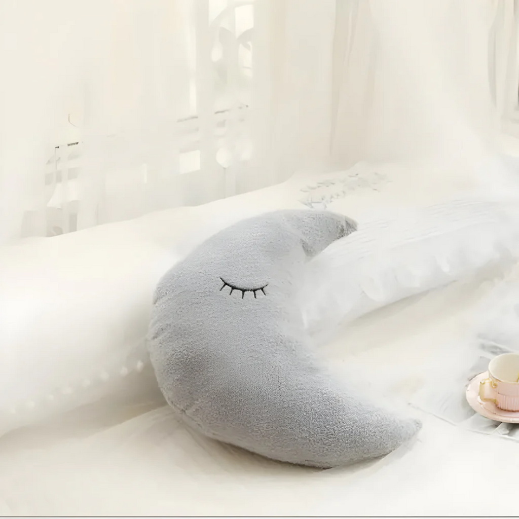 Plush decorative pillow for indoor use