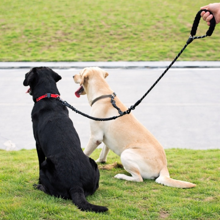 Tangle-Free Dog Walking for Two Pets – Double Dog Leash with 360° Swivel