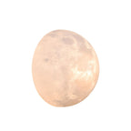 Væglampe med Måneformet Design til Indendørs Brug