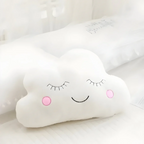 Plush decorative pillow for indoor use