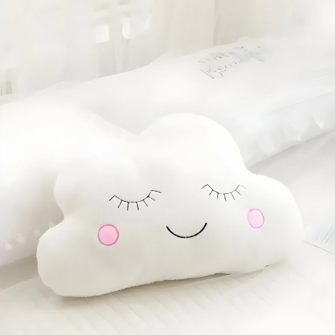 Plush decorative pillow for indoor use