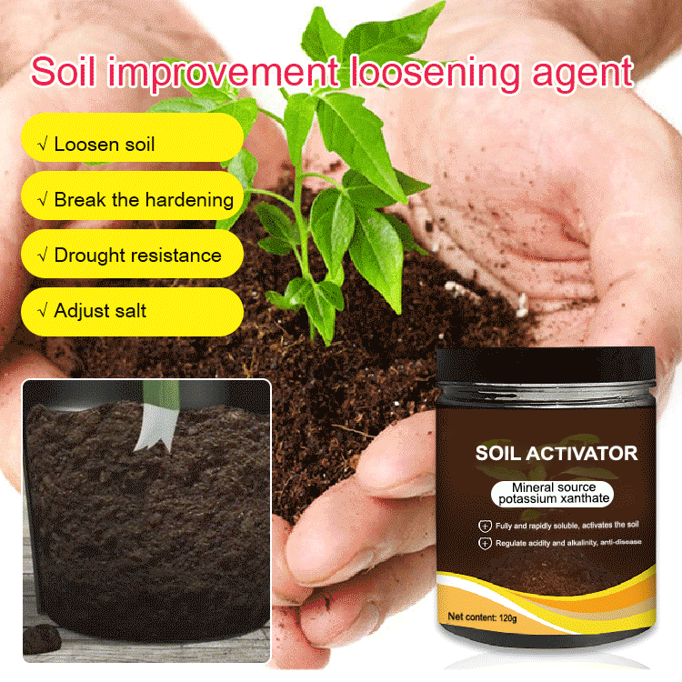 Soil Improvement for Healthy Plant Growth – Potassium Mineral Soil Activator Powder