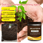 Soil Improvement for Healthy Plant Growth – Potassium Mineral Soil Activator Powder