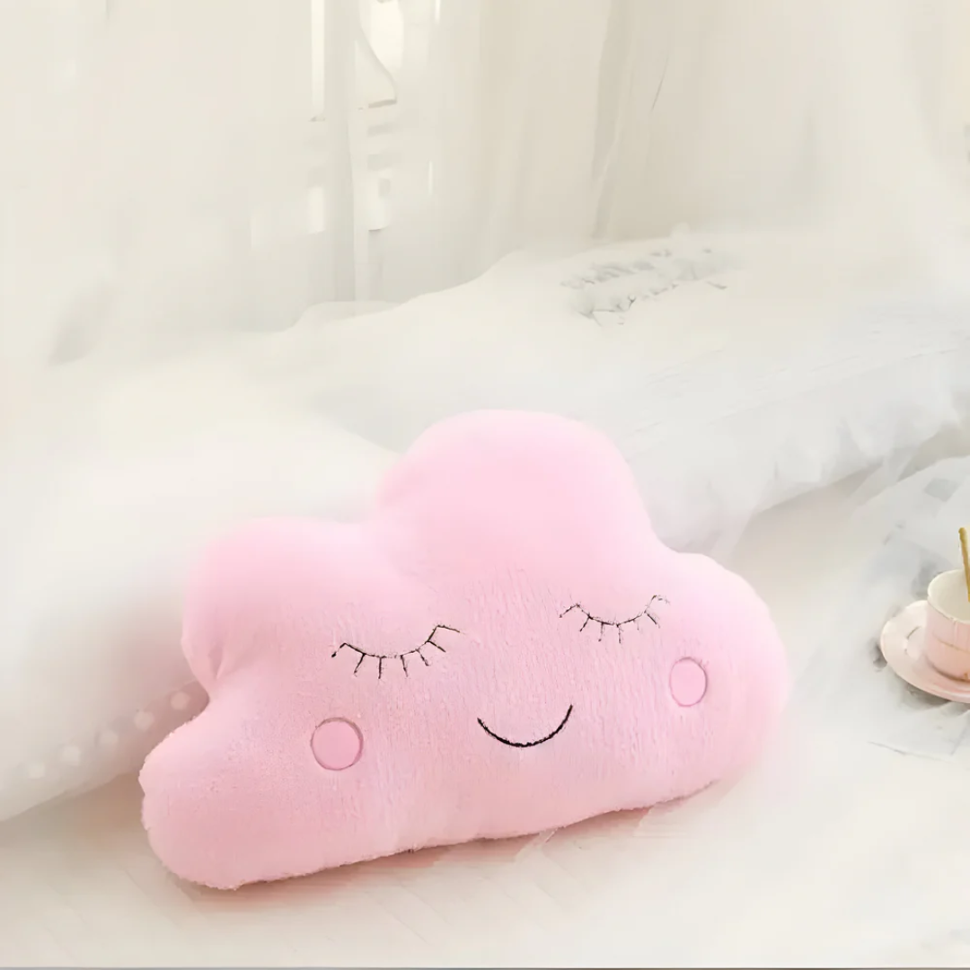 Plush decorative pillow for indoor use
