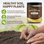 Soil Improvement for Healthy Plant Growth – Potassium Mineral Soil Activator Powder