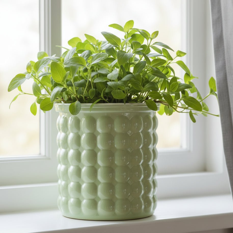 Selvvandende urtepotte til vandkultur