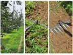 Efficient Weeding and Soil Loosening for Garden Beds – Carbon Steel Garden Hoe