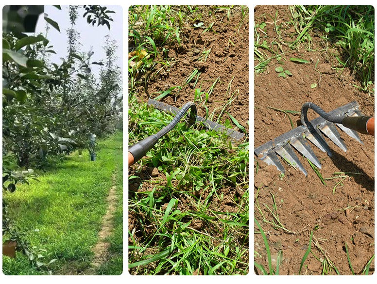 Efficient Weeding and Soil Loosening for Garden Beds – Carbon Steel Garden Hoe