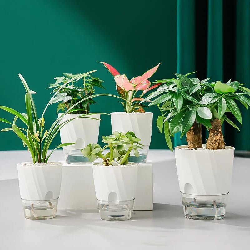 Nem plantepleje til indendørs planter – Selvvandende urtepotte