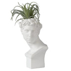 Blomsterpotte med klassisk mønster til indendørs brug