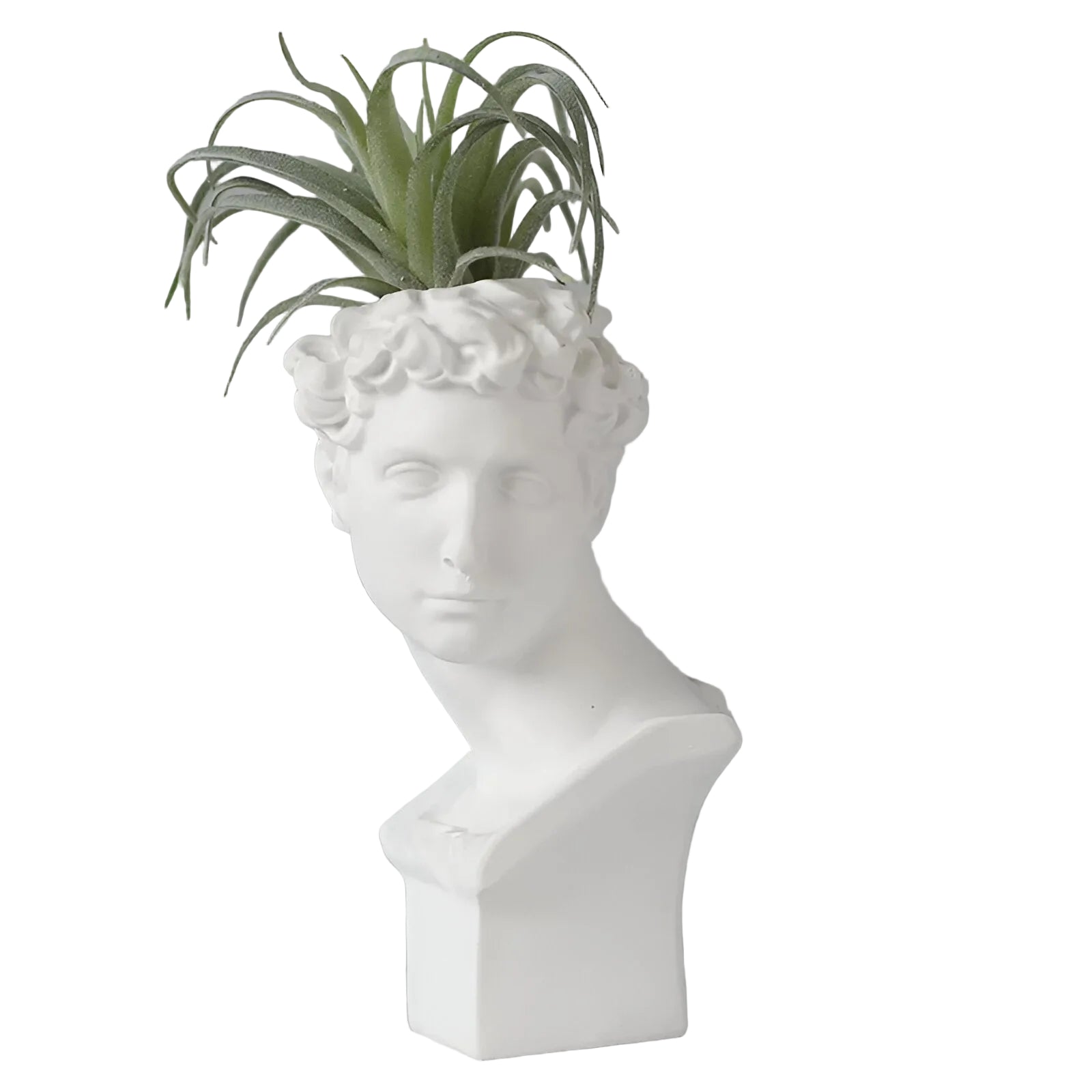 Blomsterpotte med klassisk mønster til indendørs brug