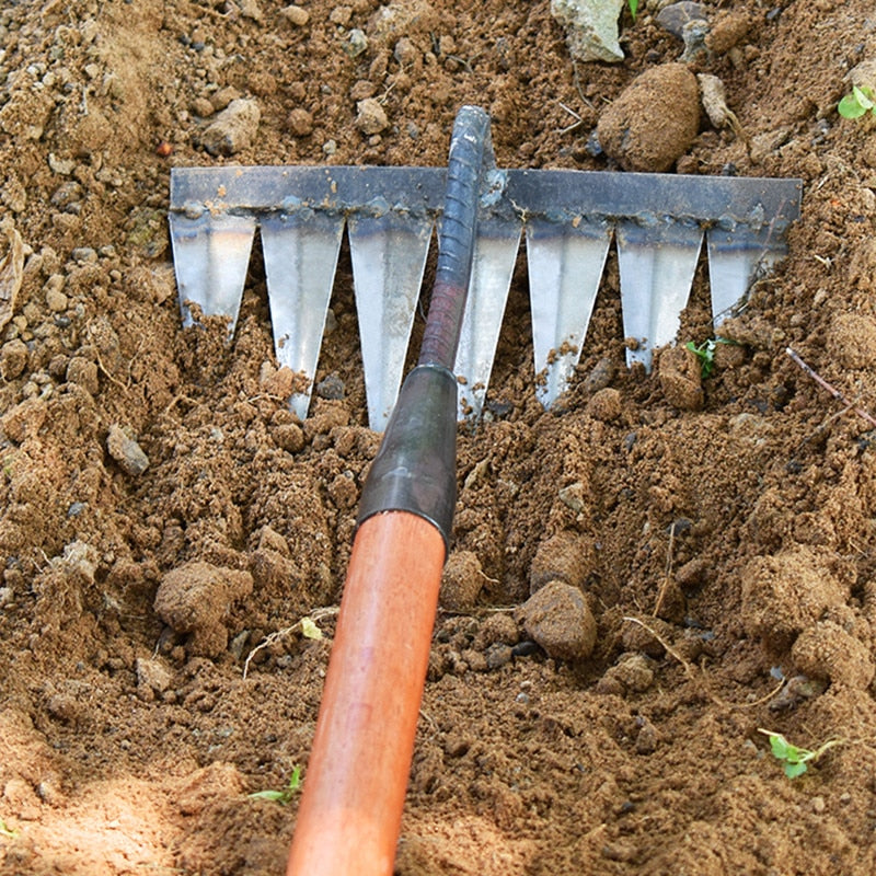 Efficient Weeding and Soil Loosening for Garden Beds – Carbon Steel Garden Hoe