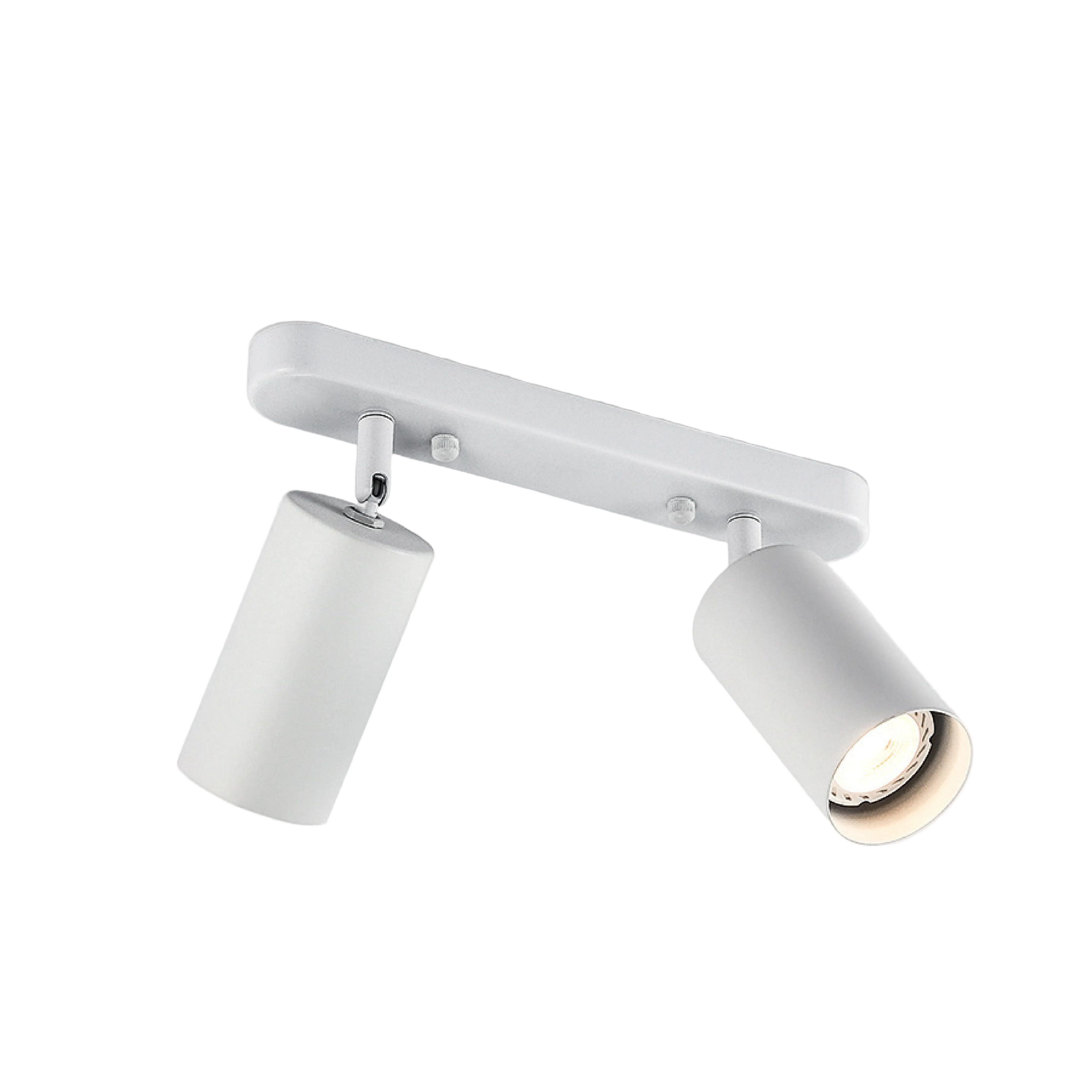 Drejbar Plafondspot med 2 Lyskilder til Indendørs Brug