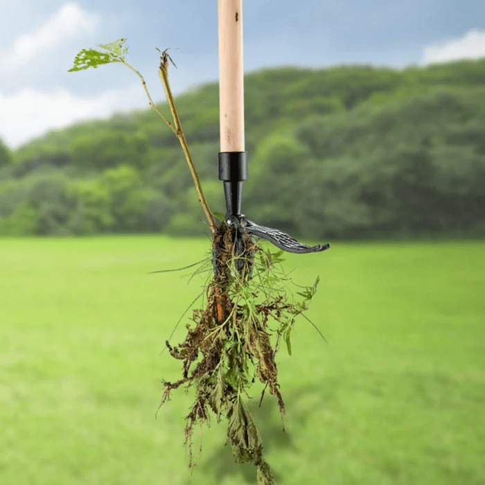 Easy Weed Removal for Garden Areas – Weed Puller with Root Removal Design