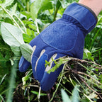 Hand Protection for Gardening and Pruning – Garden Gloves with Cowhide Reinforcement