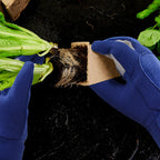 Hand Protection for Gardening and Pruning – Garden Gloves with Cowhide Reinforcement