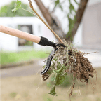 Easy Weed Removal for Garden Areas – Weed Puller with Root Removal Design