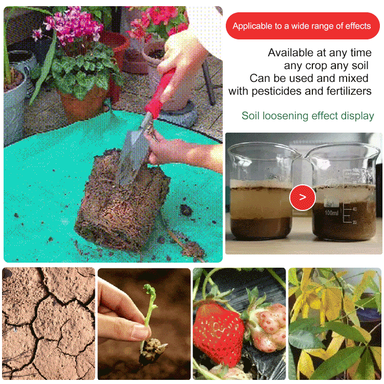 Soil Improvement for Healthy Plant Growth – Potassium Mineral Soil Activator Powder